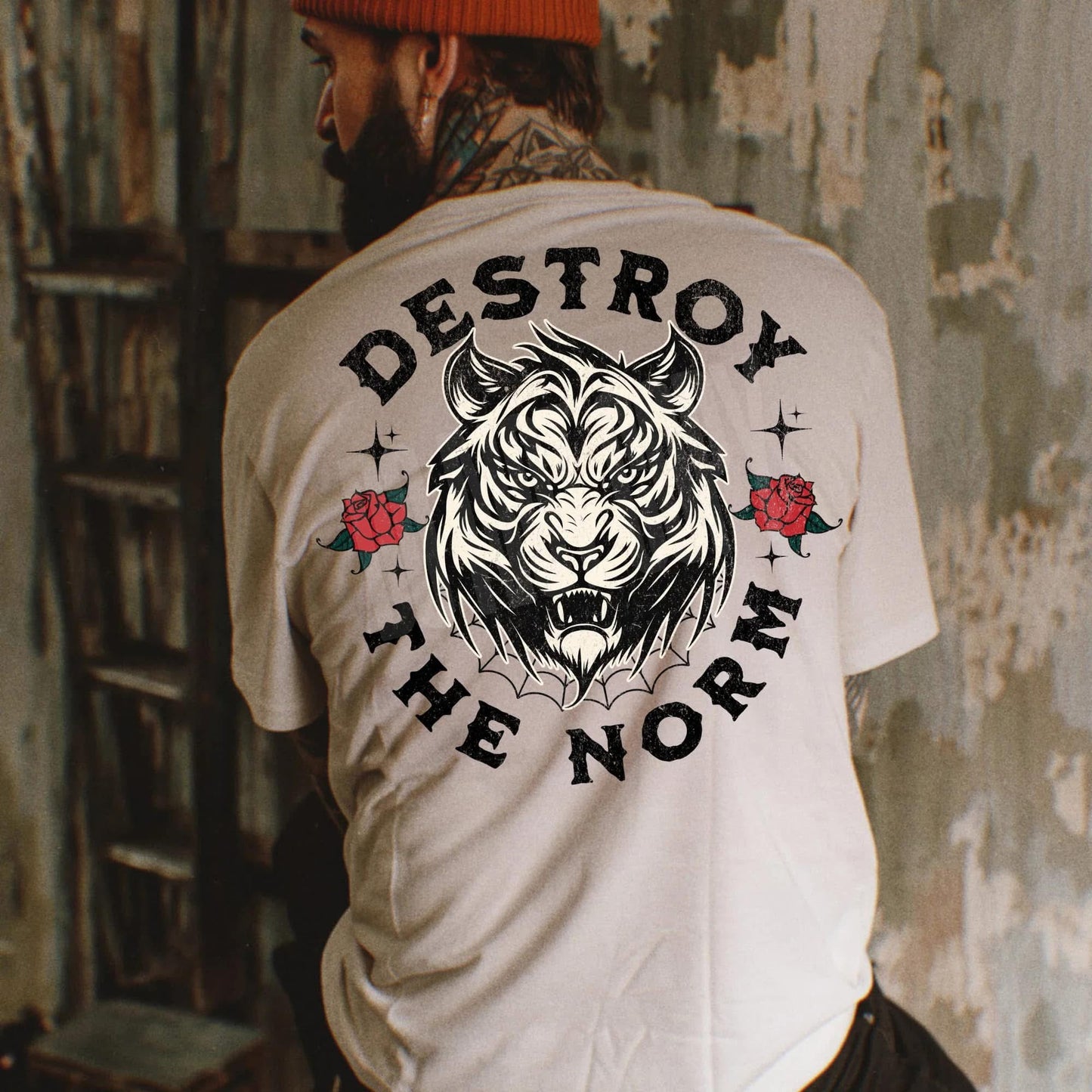 Destroy the Norm