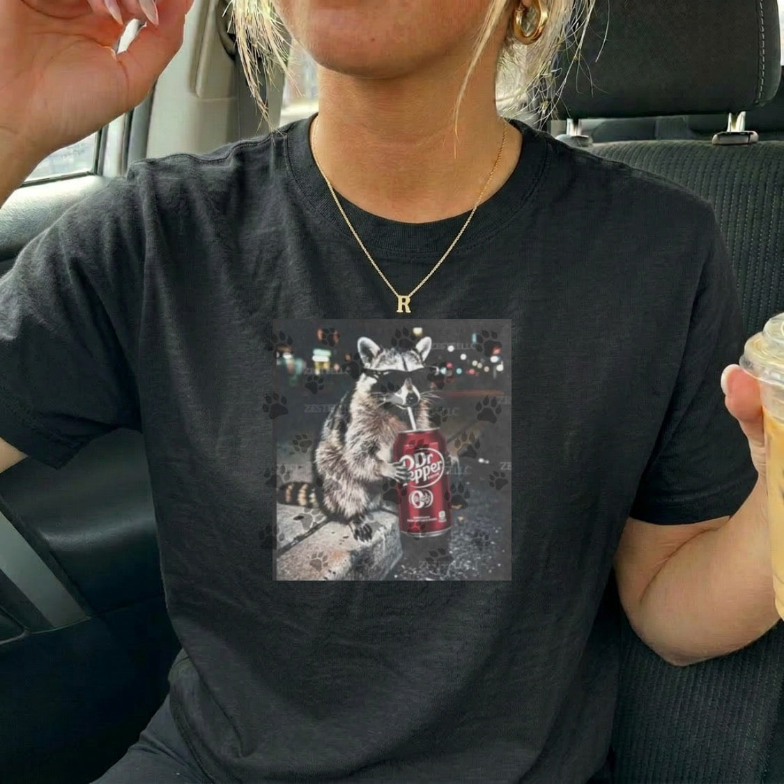 Raccoon Dr