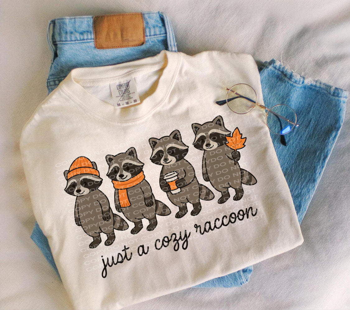 Cozy Raccoon