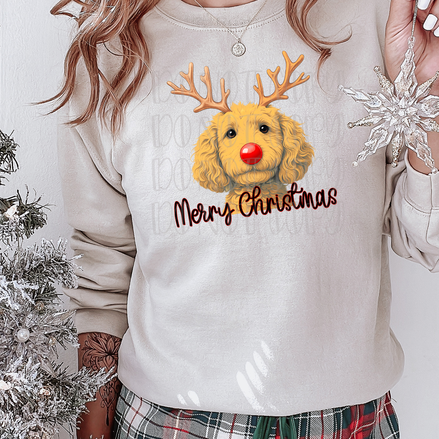 Reindeer Goldendoodle