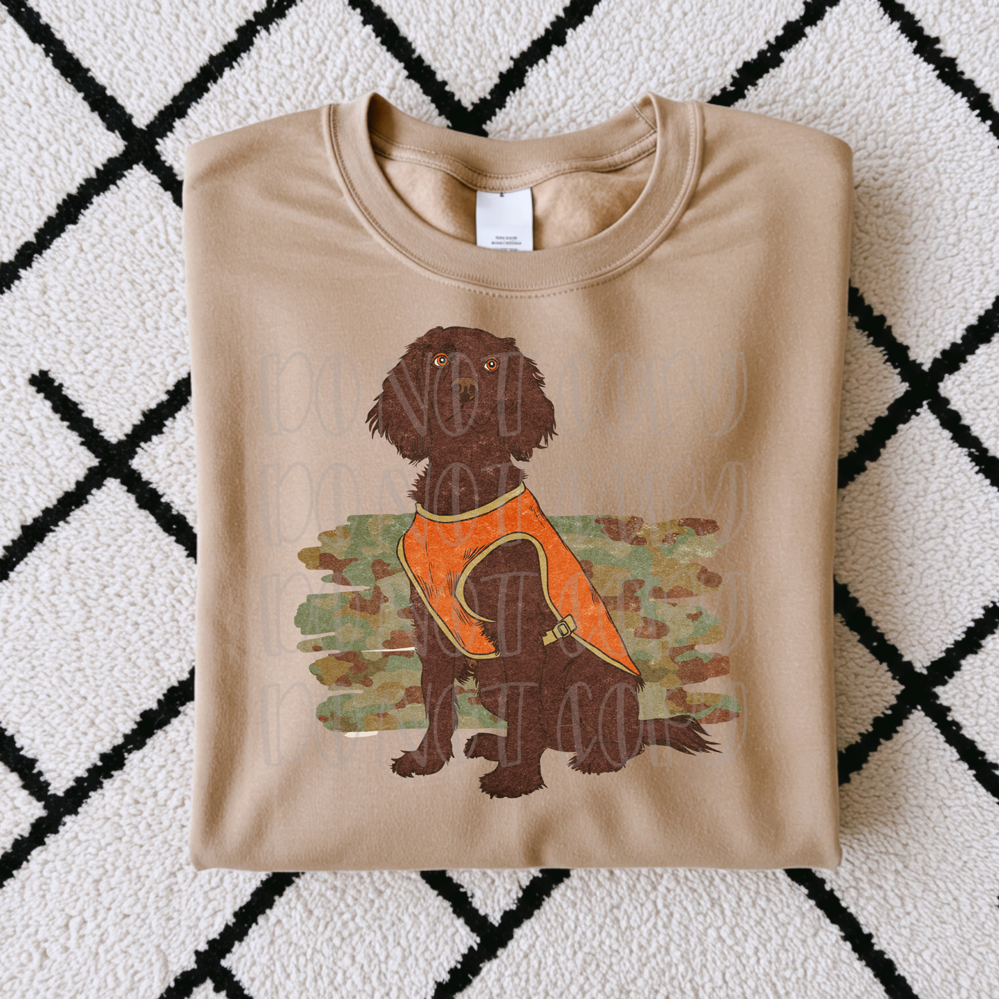 Brown Retriever Field