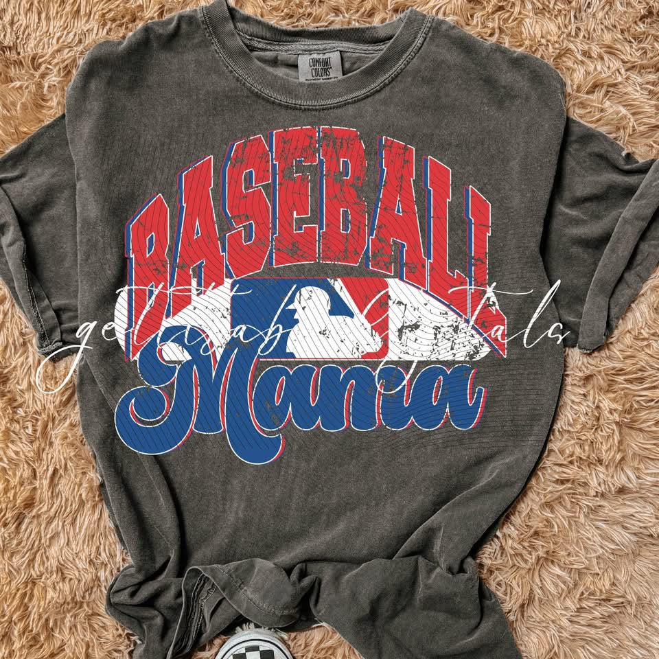 Red and Blue Baseball
