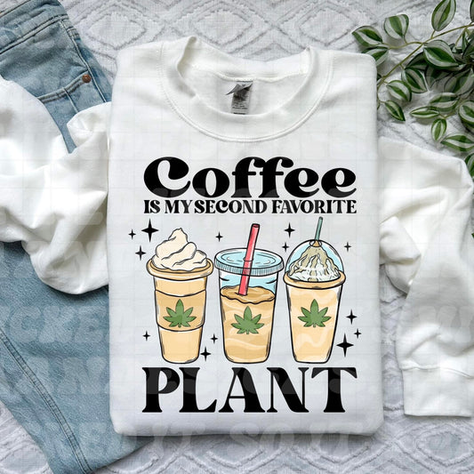 Coffee Plant