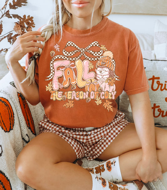 Fall The Season of Cozy