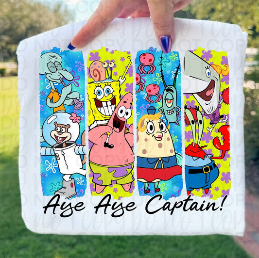Aye Aye Captain