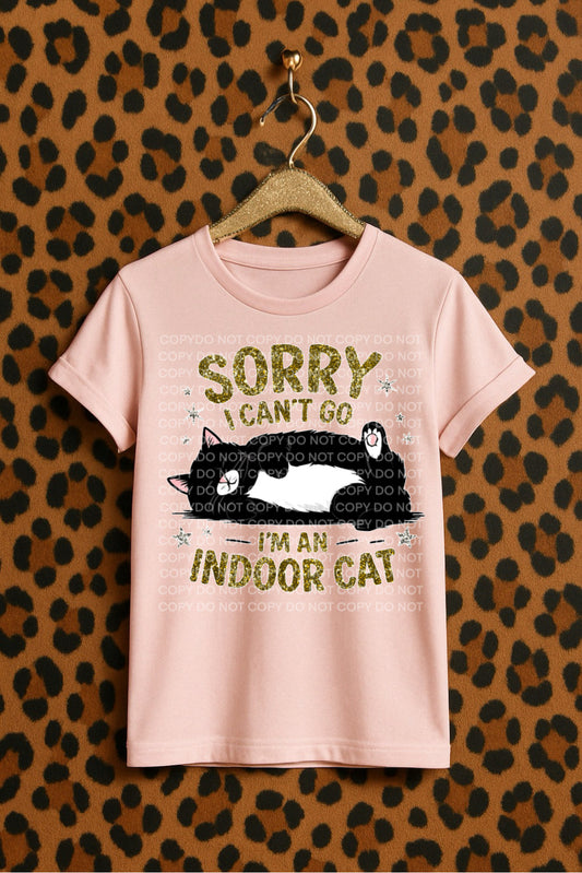 Black Indoor Cat