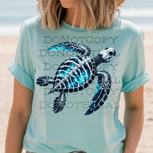 Skellie Turtle