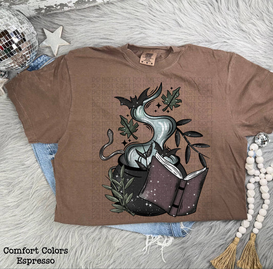 Witchy Cauldron & Spellbook