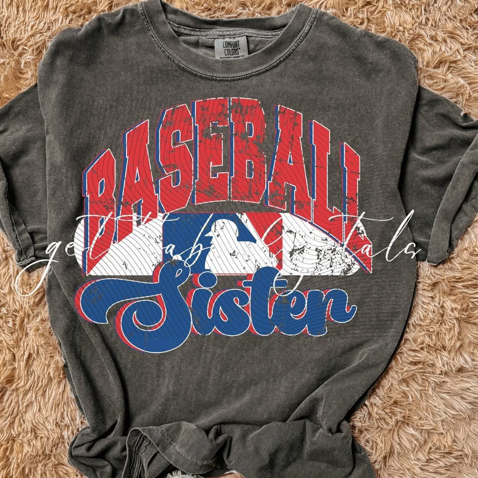 Red and Blue Baseball