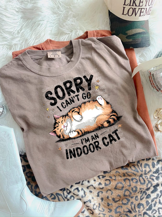Indoor Cat