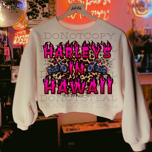 Har In Hawaii