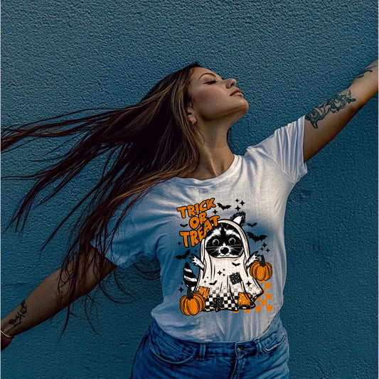 Trick or Treat Raccoon Ghost