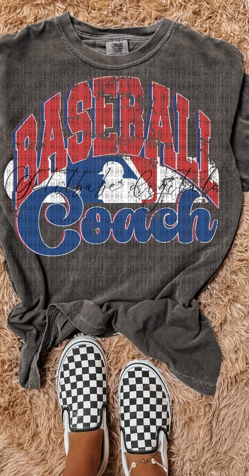 Red and Blue Baseball