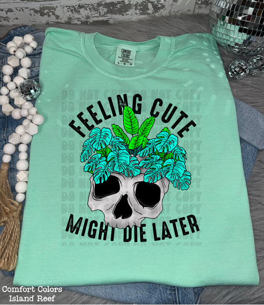 Feeling Cute