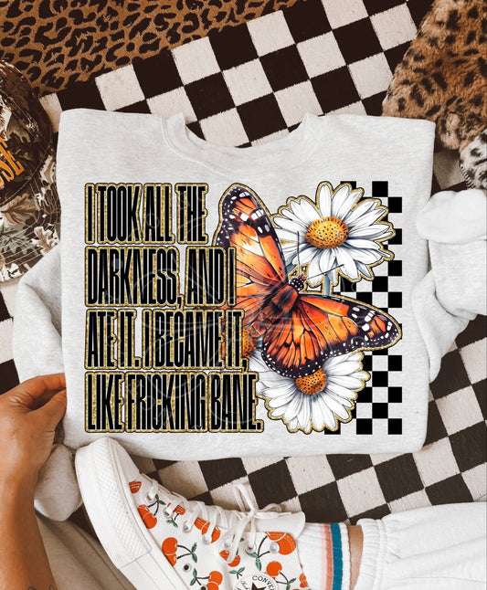 I Took All the Darkness