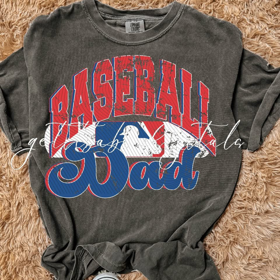 Red and Blue Baseball