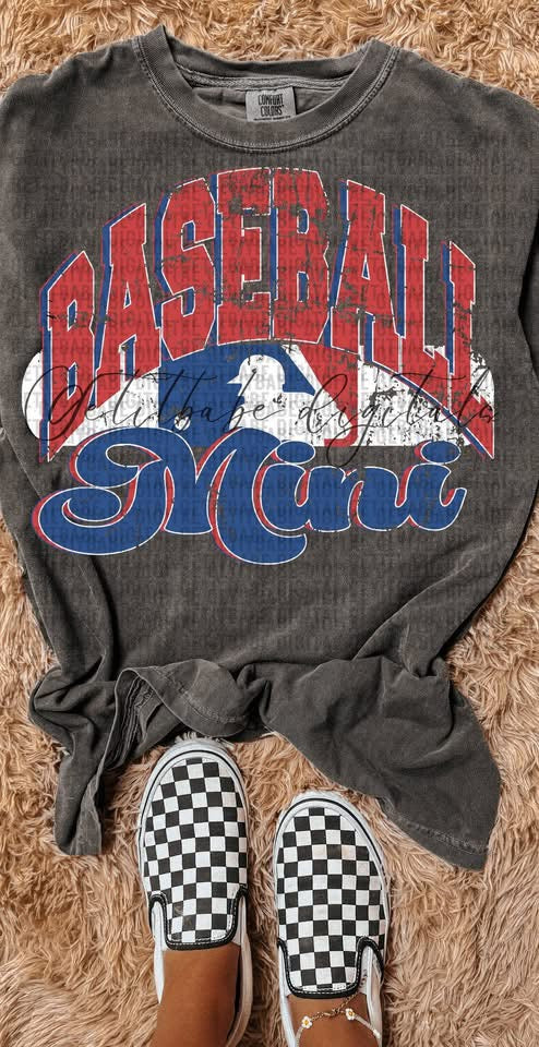 Red and Blue Baseball