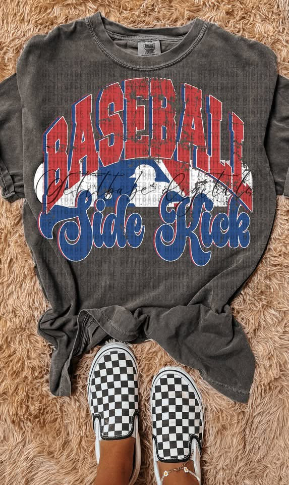 Red and Blue Baseball