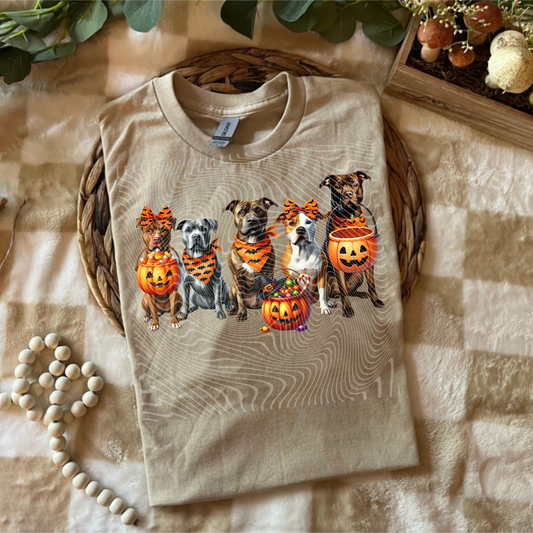 Halloween Dogs