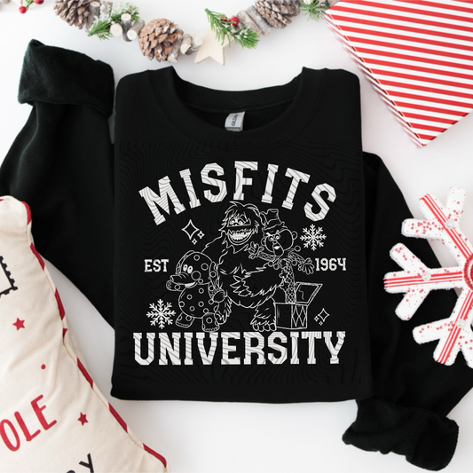 Misfits University