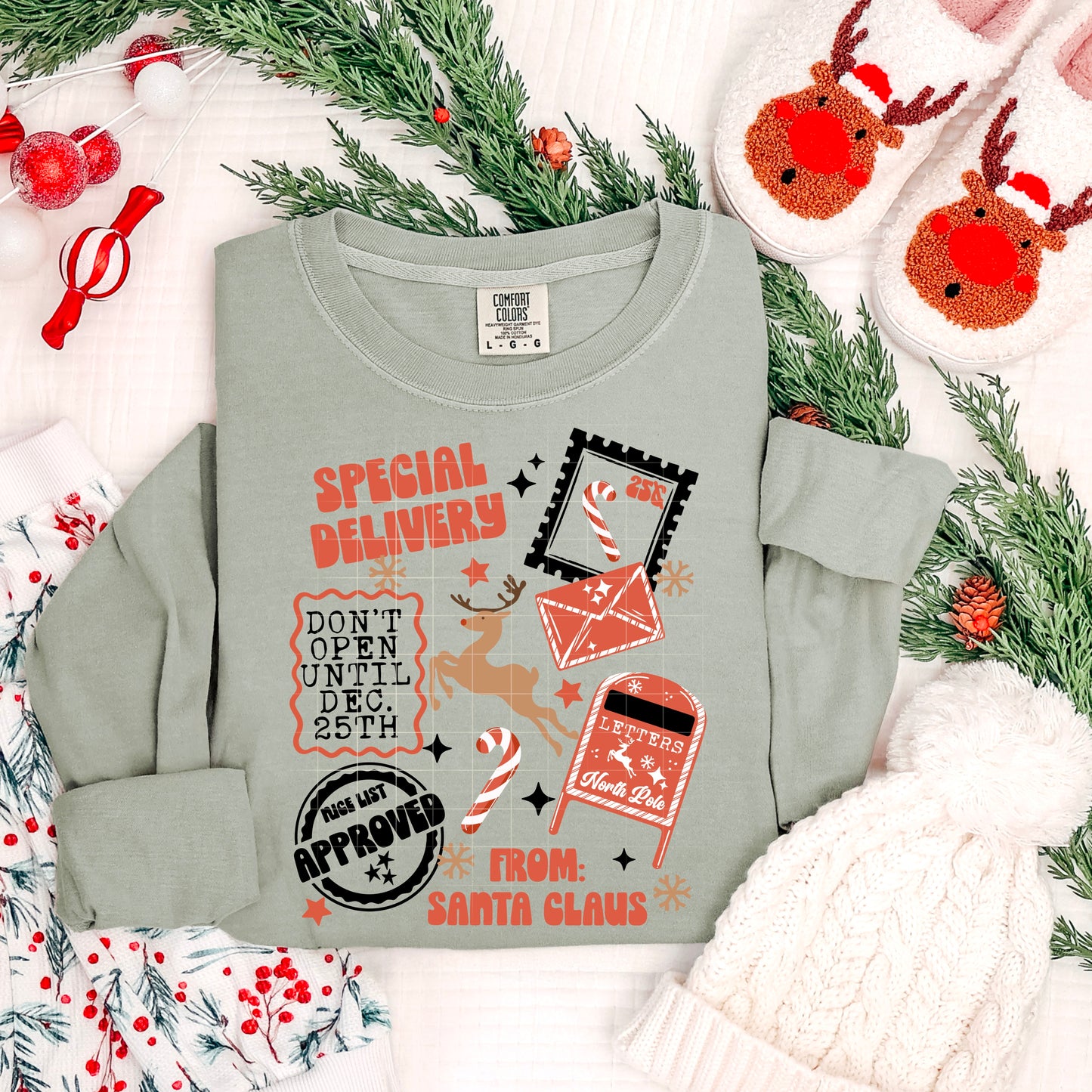 Special Delivery from Santa