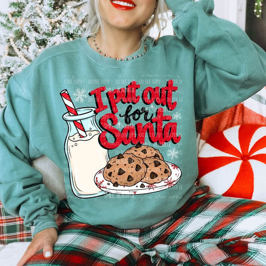 I Put Out For Santa