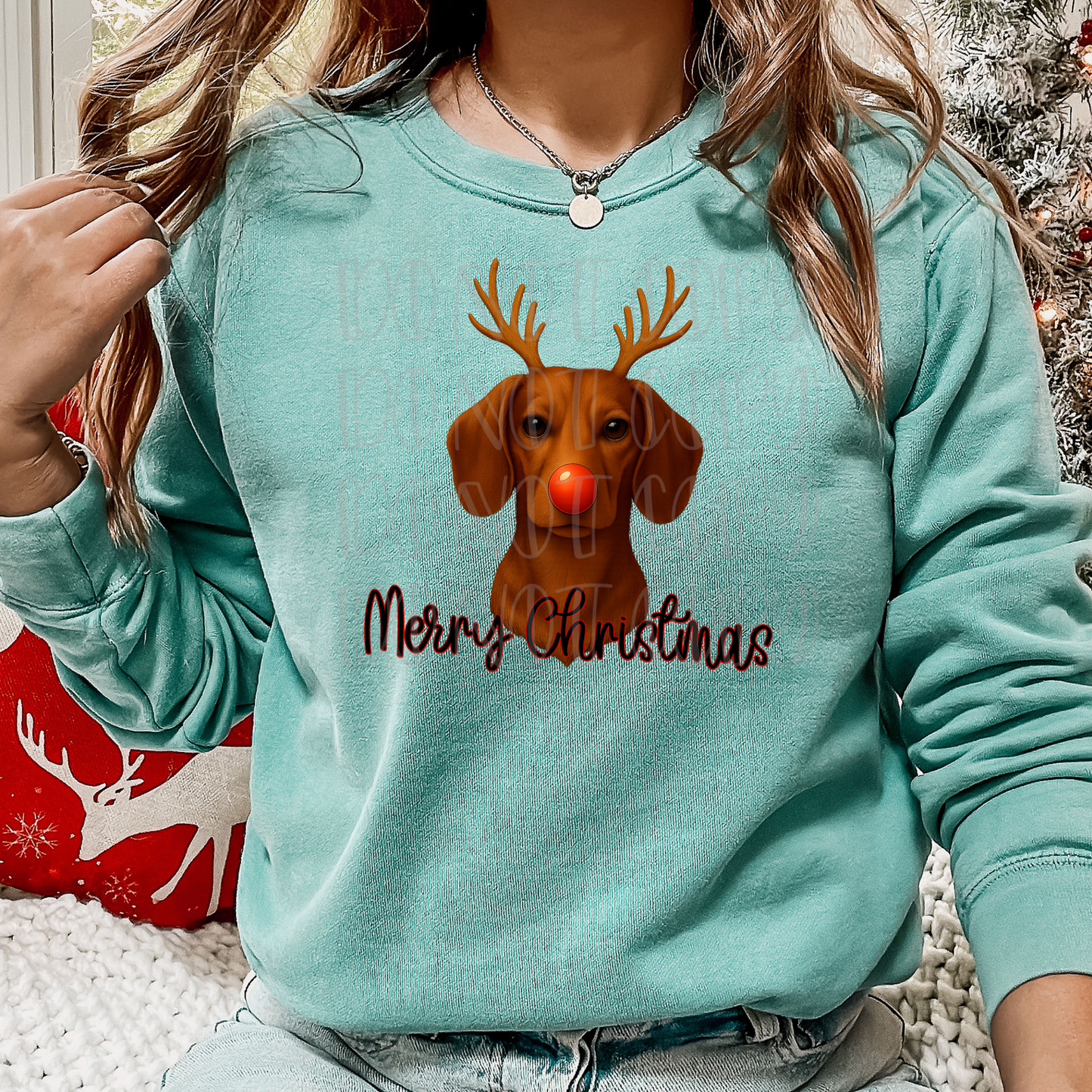 Reindeer Dachshund