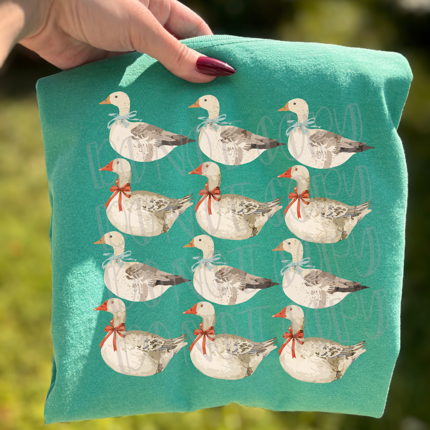 Ducks Pattern